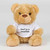 Don't Be A Wankstain Swear Bear - Brown - 1