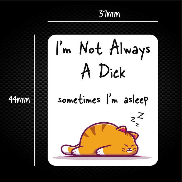 I'm Not Always A .... Sometimes I'm Asleep - Rude Sticker Packs - Slightly Disturbed - Image 1 of 4
