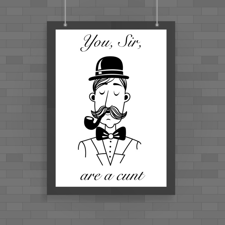You, Sir, Are A Cunt - Rude Posters - Slightly Disturbed - Image 1 of 1