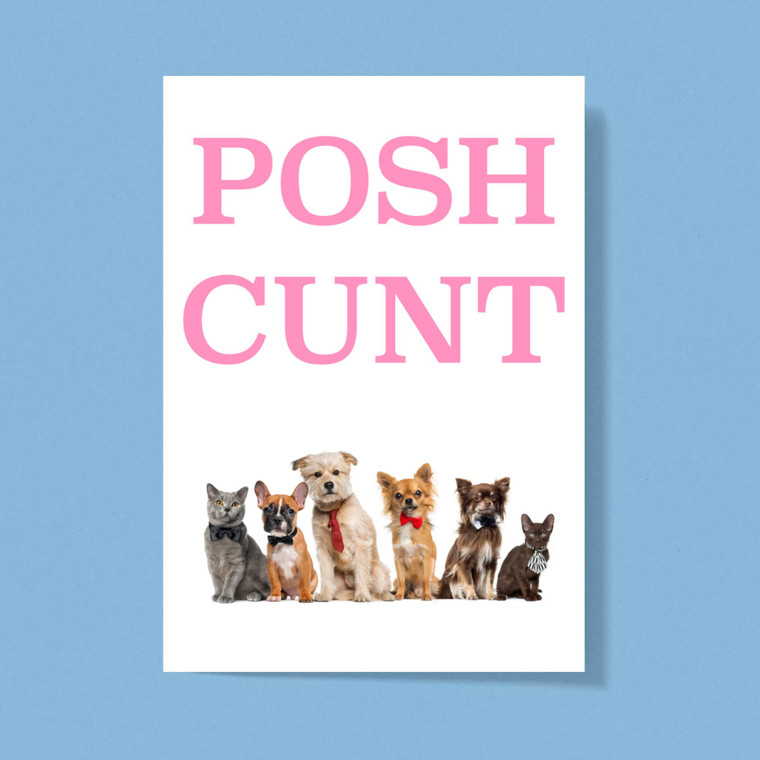 Posh Cunt - Rude Greeting Card - Slightly Disturbed - Image 1 of 1