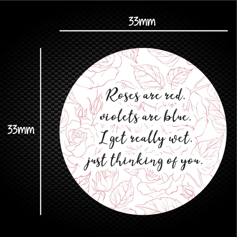 I Get Really Wet - Rude Sticker Packs - Slightly Disturbed - Image 1 of 1