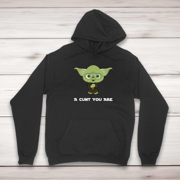 A Cunt You Are - Rude Hoodies - Slightly Disturbed - Image 1 of 2