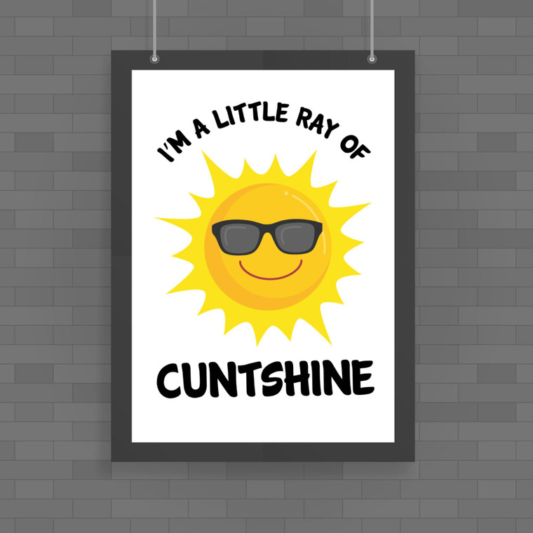 Cuntshine - Rude Posters - Slightly Disturbed - Image 1 of 1