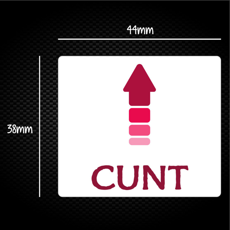 Cunt Arrow - Rude Sticker Packs - Slightly Disturbed - Image 1 of 1