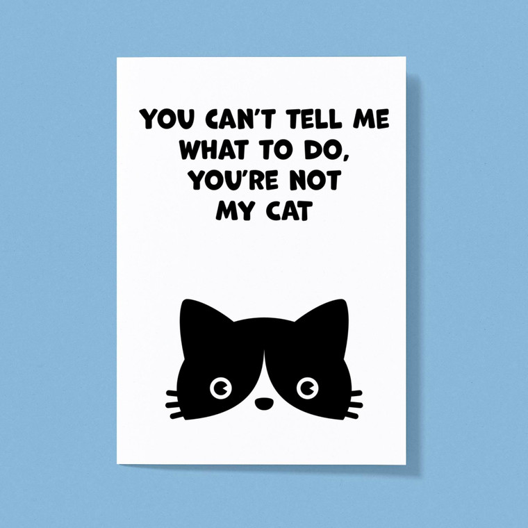 You Can't Tell Me - Novelty Greeting Cards - Slightly Disturbed - Image 1 of 2