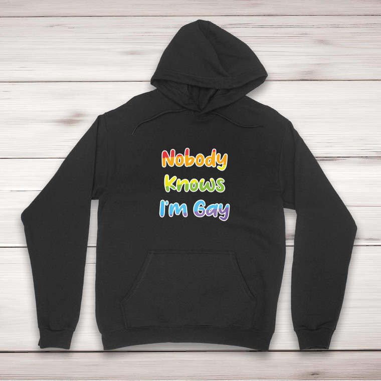 Nobody Knows I'm Gay - Rude Hoodies - Slightly Disturbed - Image 1 of 2