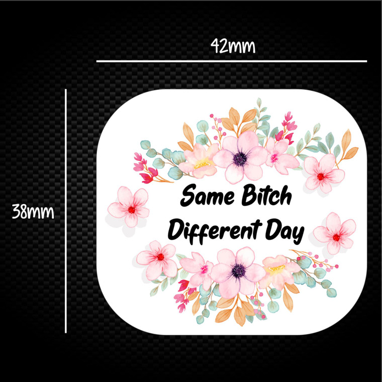 Same Bitch Different Day - Rude Sticker Packs - Slightly Disturbed - Image 1 of 1