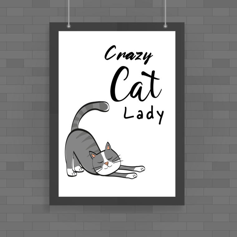 Crazy Cat Lady - Rude Posters - Slightly Disturbed - Image 1 of 1