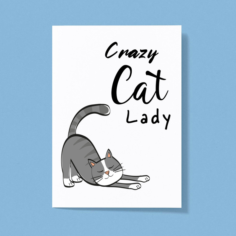 Crazy Cat Lady - Rude Greeting Cards - Slightly Disturbed - Image 1 of 1