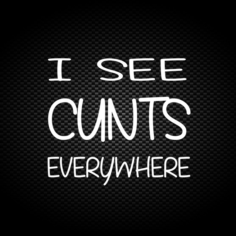 I See Cunts - Rude Vinyl Stickers - Slightly Disturbed - Image 1 of 2