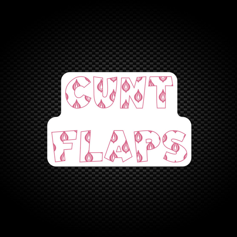 Cunt Flaps - Rude Vinyl Stickers - Slightly Disturbed - Image 1 of 1