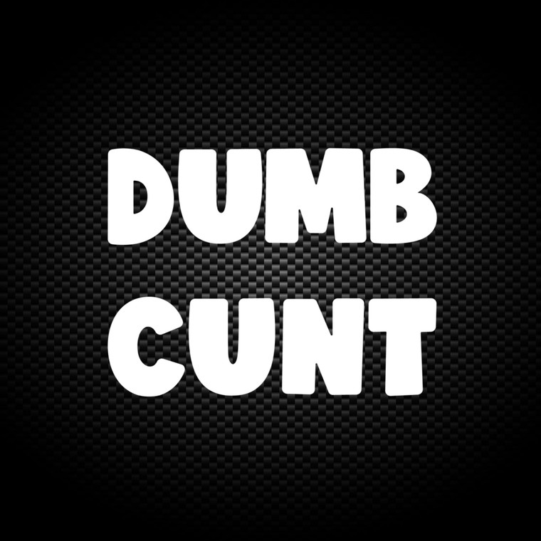 Dumb Cunt - Rude Vinyl Stickers - Slightly Disturbed - Image 1 of 2