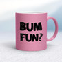 Bum Fun - Rude Mugs - Slightly Disturbed - Image 18 of 20