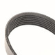 Genuine Iveco Daily 2.3 Litres Fan Belt 2014 Onwards - 5802558643