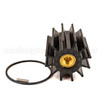 Sherwood Impeller Kit 29000K