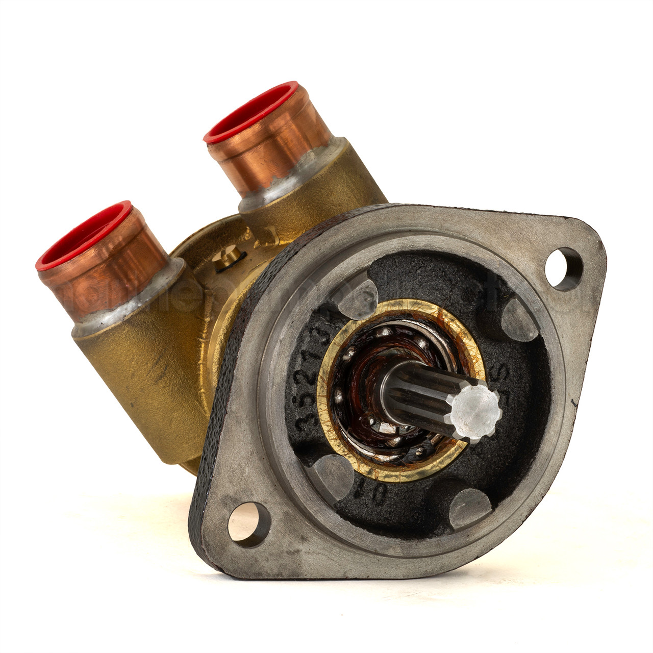 ＊bonpoint  10A ＊ Johnson Pump 10-24349-01 - Marine Pump Direct