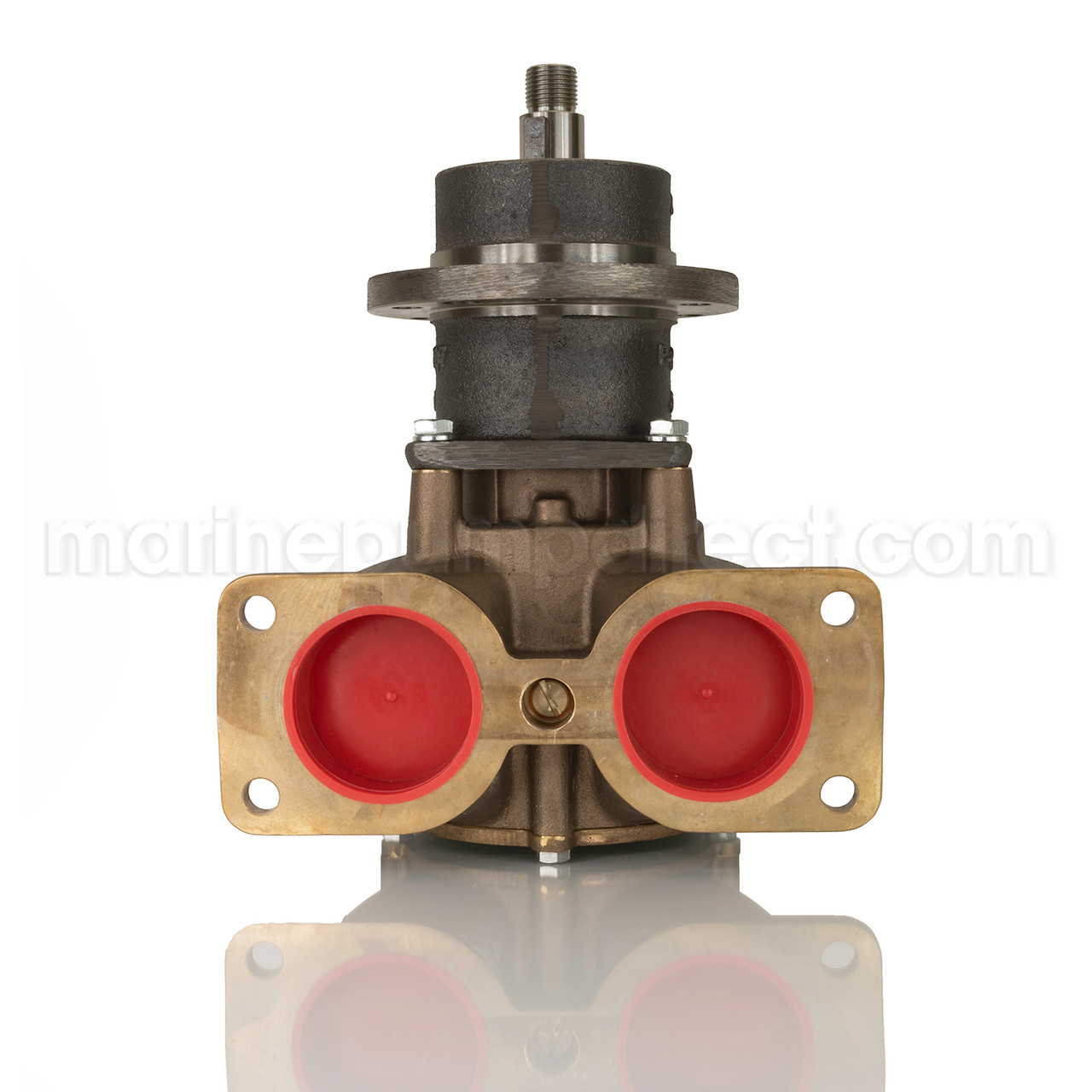 Johnson Pump 10-13080-01 - Marine Pump Direct