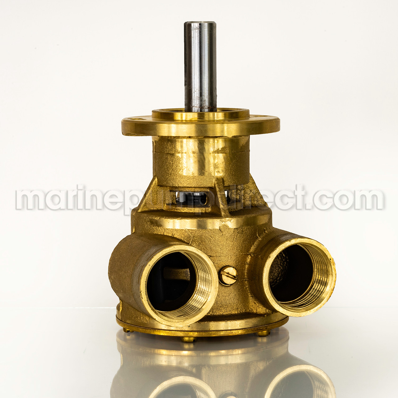 ＊bonpoint  10A ＊ Johnson Pump 10-24349-01 - Marine Pump Direct