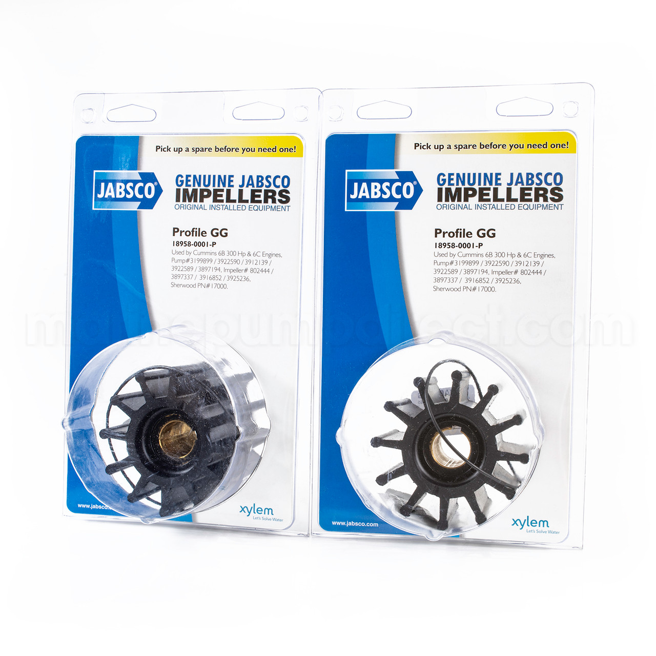 Two Pack Jabsco 18958-0001-P - Marine Pump Direct