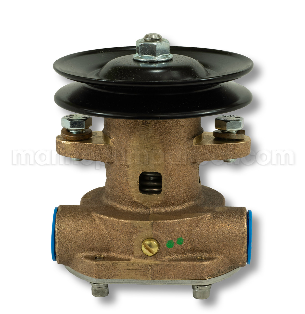 Sherwood Pump G907P - Marine Pump Direct