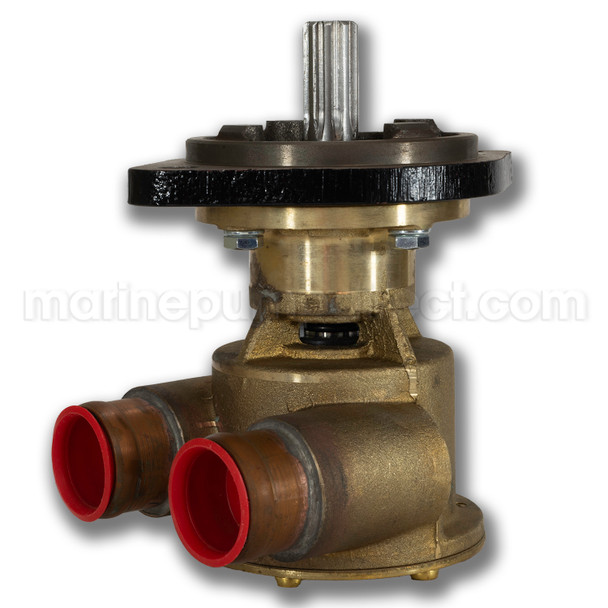 Johnson Pump 10-24398-01