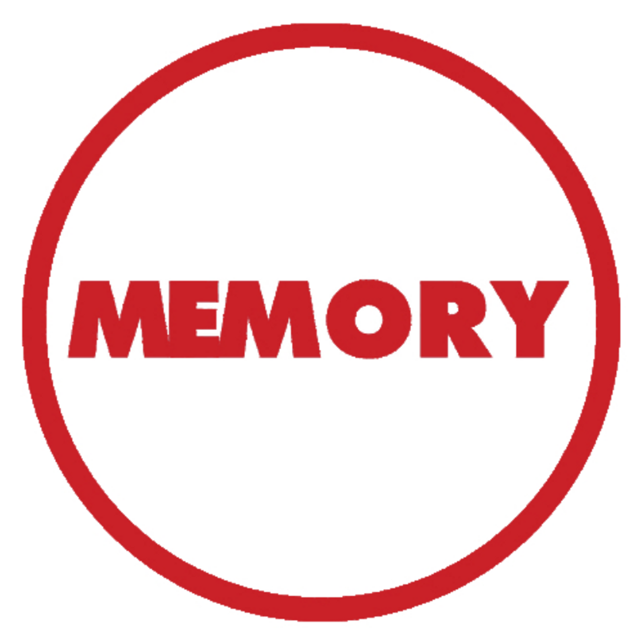 Arch Memory 4 GB 204-Pin DDR3 So-dimm RAM for Lenovo ThinkPad T520 4239-4CU