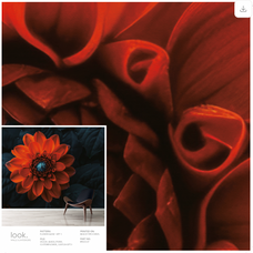 Flower Glow