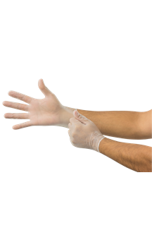 Disposable Vinyl Gloves powder free Leonard Safety Equipment Inc