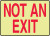 Glow-in-the-Dark Signs - Not an Exit-(8" x 10")