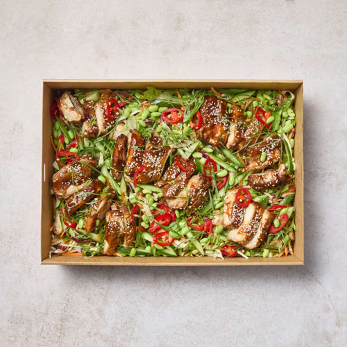 Teriyaki Chicken Slaw Salad