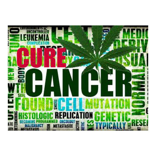 Cures Weed Super-Polyester Flag