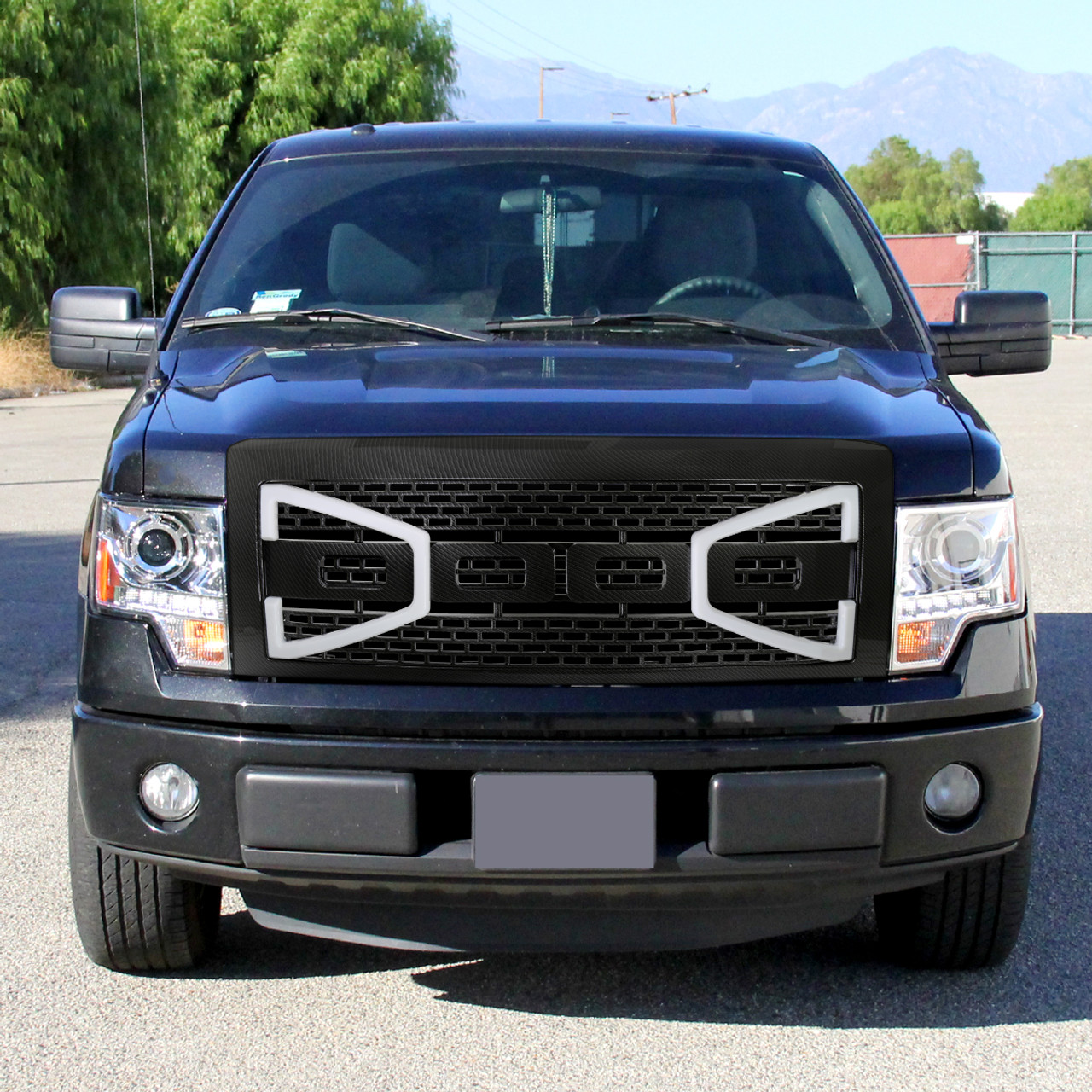 2009-2014 Ford F-150 Carbon Fiber Look Raptor Style Mesh Grille