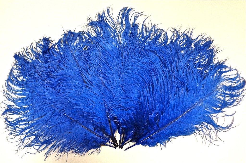 Blue Ostrich Feather 8-12 inch size per Each