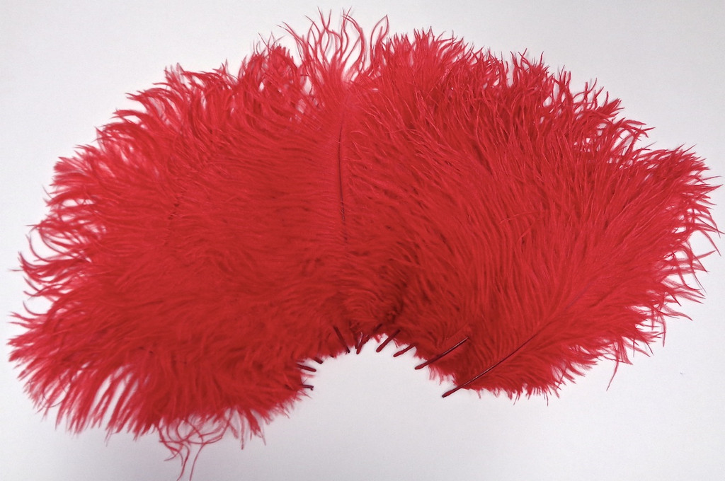 Red Ostrich Feather 8-12 inch size per Each