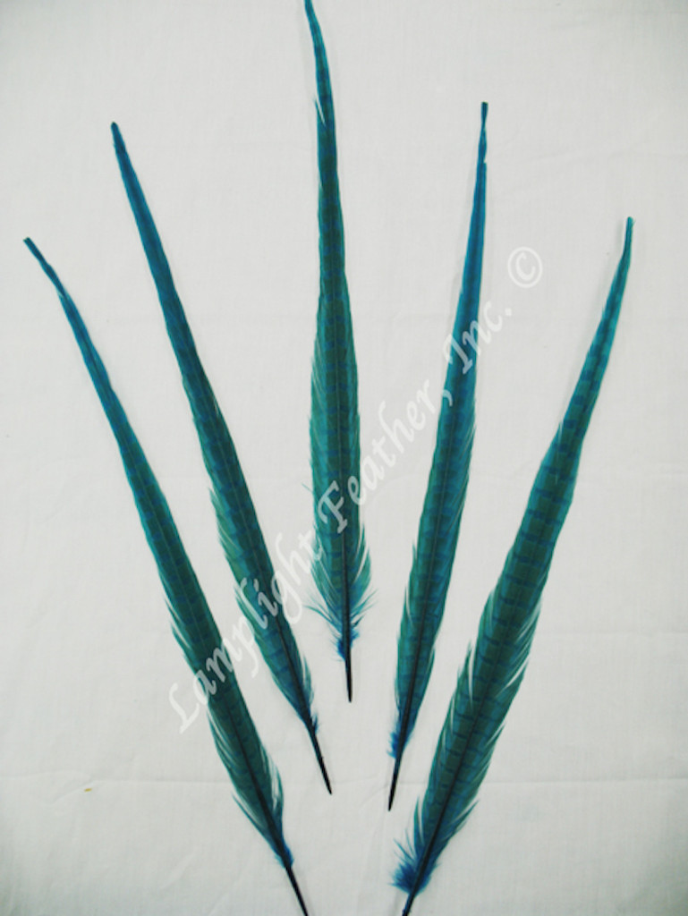 Turquoise Dyed Ring-necked Pheasant Tail Feather 20-22 Inch