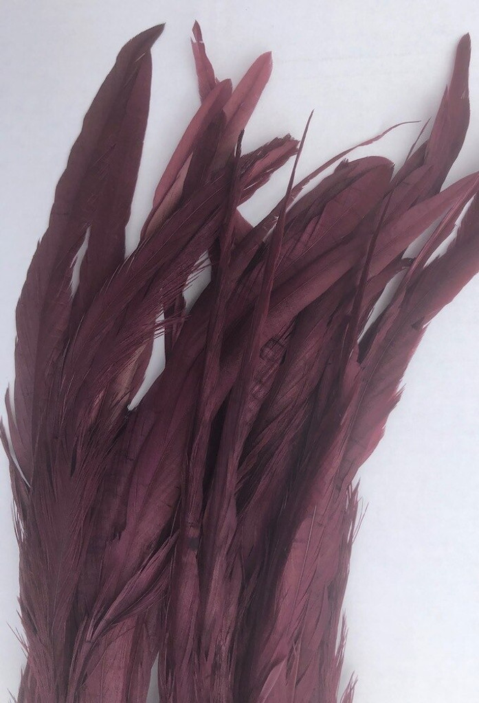 Coque Rooster Tail Feathers 14-16 inches Burgundy per half ounce