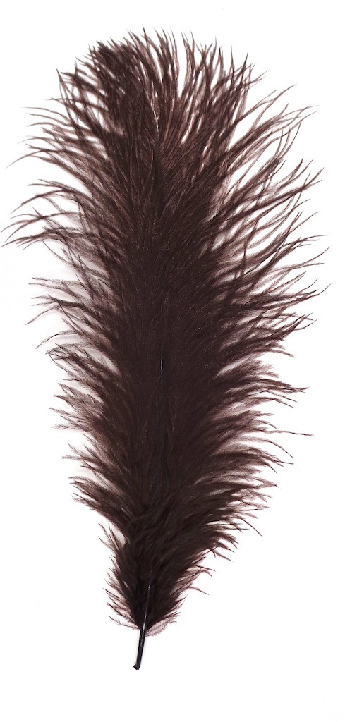 Chocolate Brown Ostrich Feather #2 Grade 16-20 inch Long per Each