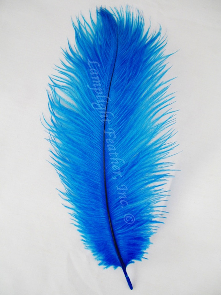 Turquoise Ostrich Feather #2 Grade 16-20 inch Long per Each