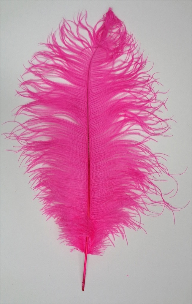Fuchsia Hot Pink #2 Grade Ostrich Feather 16-20 inch Long per Each