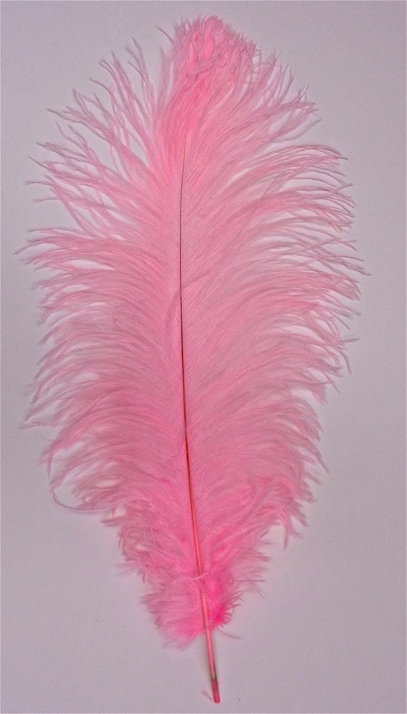 Candy Pink #2 Ostrich Feather 16-20 inches per Each