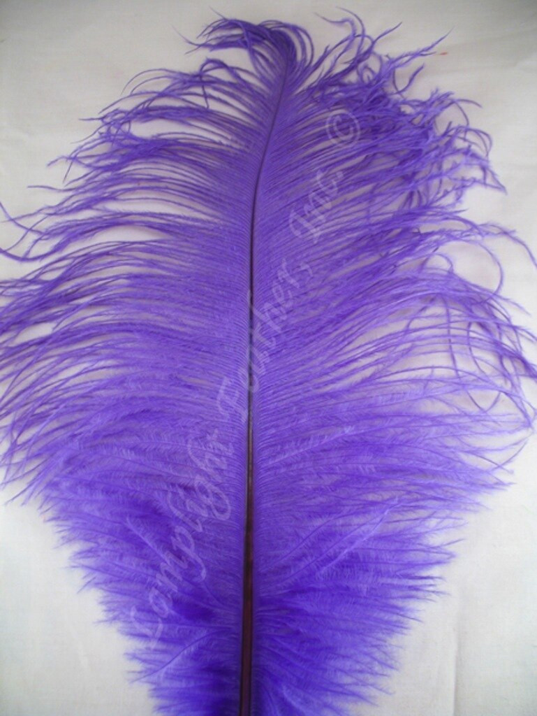 Lavender Ostrich Feather Seconds 12-16 per 6