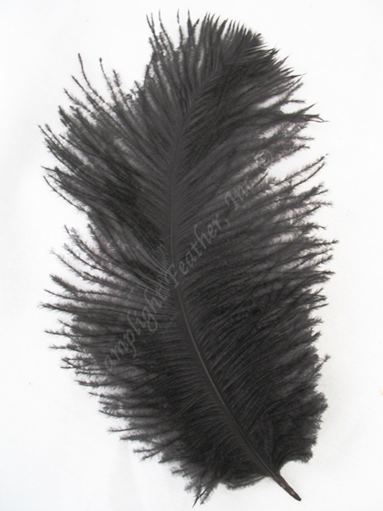 Black Dyed over Natural Mini Ostrich Feathers 5-8 Inch