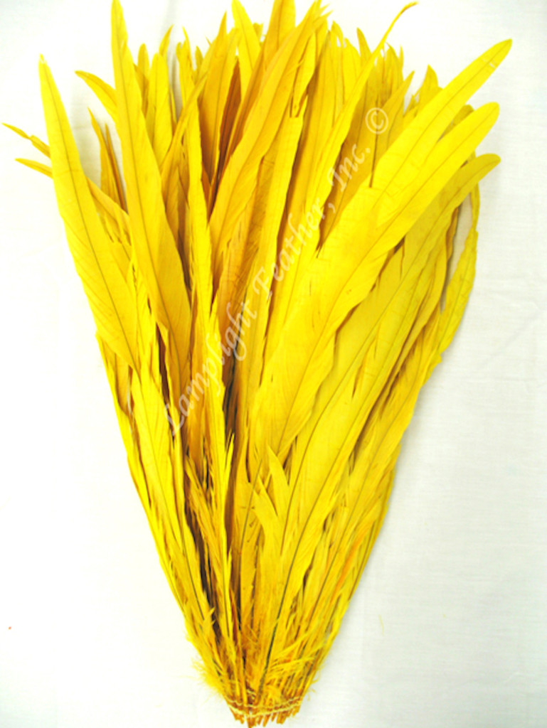 Yellow Coque Rooster Tail Feathers 16-18 inch per HALF OUNCE