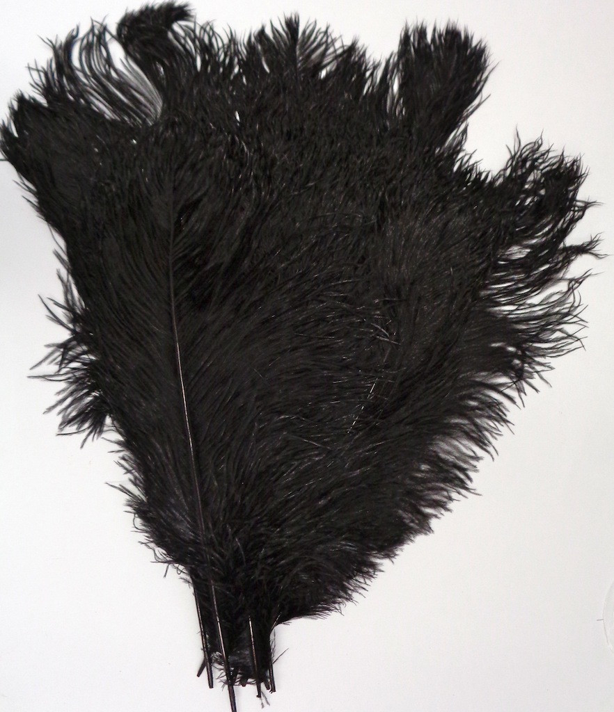 Long black Ostrich Feather 16-20 inch from Lamplight Feather