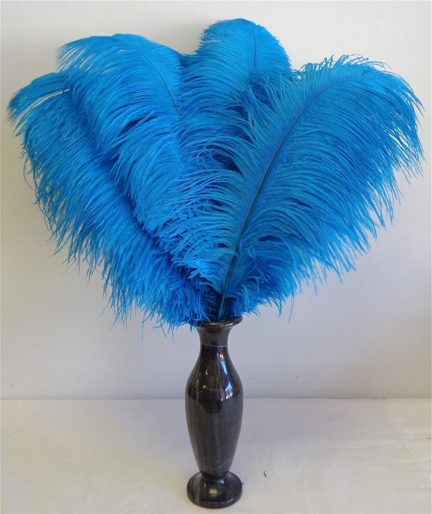 Turquoise Ostrich feather, long ostrich feather