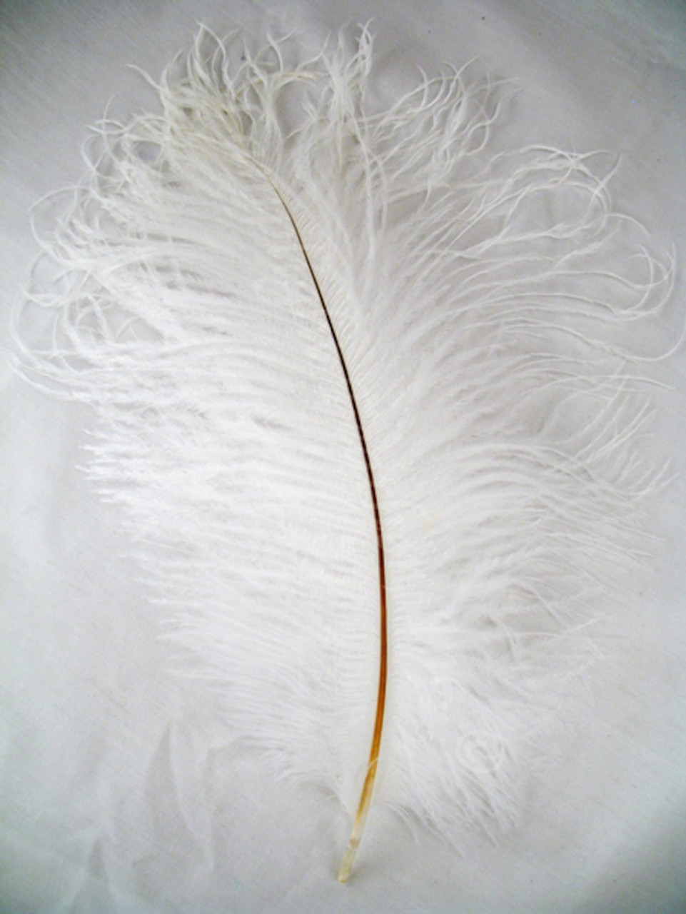 12 inch ostrich feathers