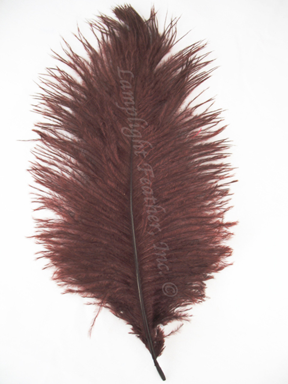 brown ostrich feathers