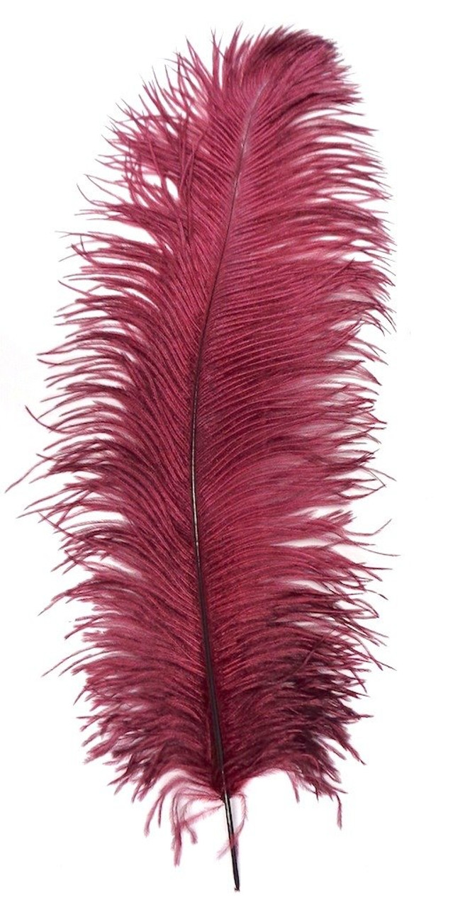 burgundy ostrich feathers