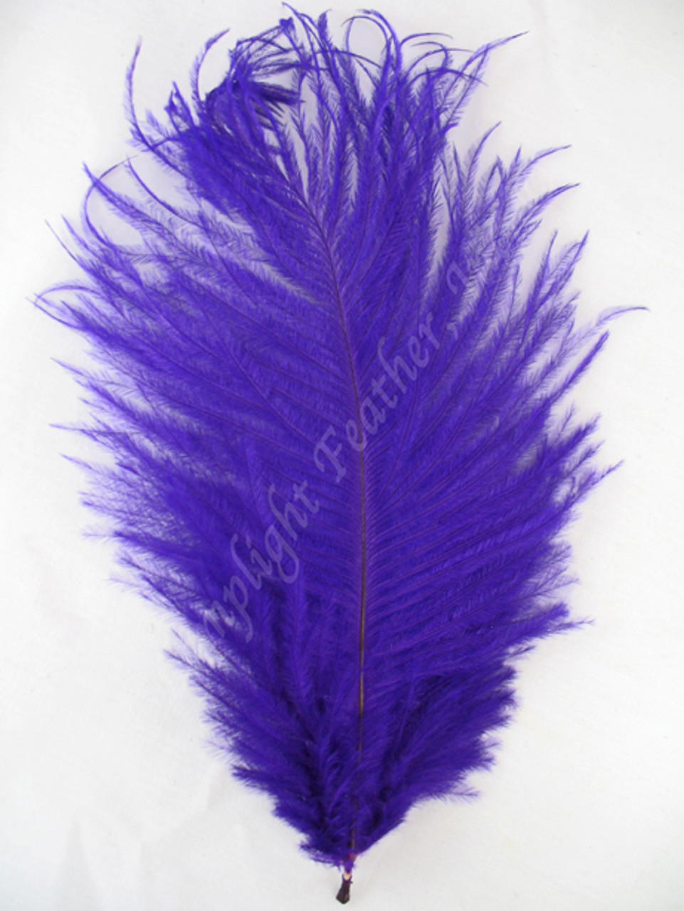 purple ostrich feathers