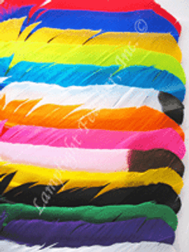 Turkey Feathers - Dyed Round Wing Quills per DOZEN